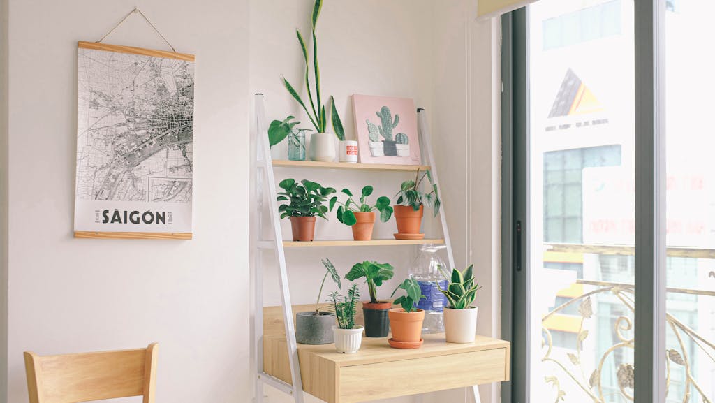 Light-filled room with modern decor, potted plants, and a Saigon map on display.